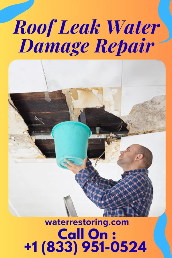 Roof Leak Water Damage Repair in Carnegie, OK